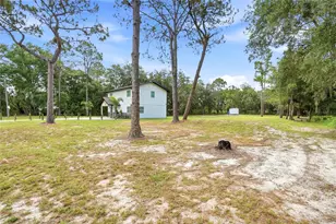 31848 Hedgerow Dr, Wesley Chapel, FL 33543 - Photo 52