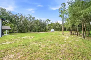 31848 Hedgerow Dr, Wesley Chapel, FL 33543 - Photo 52