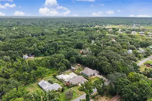 2216 Pinecrest Dr, Lutz, FL 33549 - Photo 42