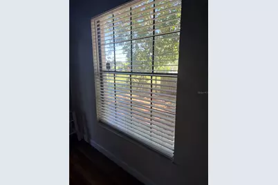 650 Bellingham Place, Palm Harbor, FL 34684 - Photo 6