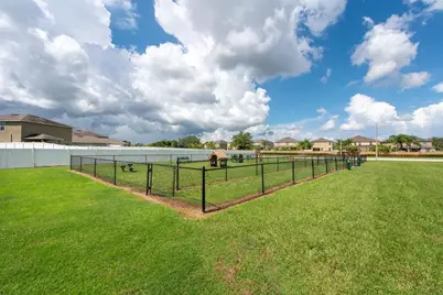 14452 English Lavender Drive, Wimauma, FL 33598 - Photo 62