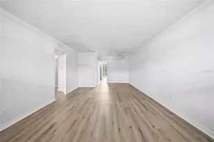 4895 Bay St NE, Saint Petersburg, FL 33703 - Photo 4