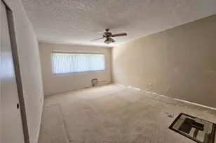 2284 Philippine Dr, Clearwater, FL 33763 - Photo 20