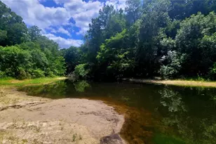 8664 Cr 639, Bushnell, FL 33513 - Photo 28