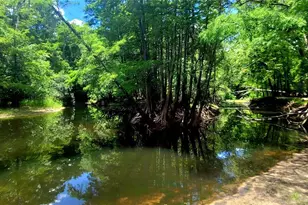 8664 Cr 639, Bushnell, FL 33513 - Photo 26