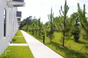 4341 Cambio Gdns Ct, Tampa, FL 33610 - Photo 26