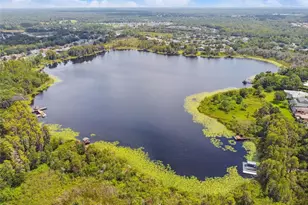 7040 Cardinalwood Ln, Land O Lakes, FL 34637 - Photo 52