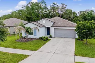 13411 Willow Bluestar Loop, Riverview, FL 33579 - Photo 40