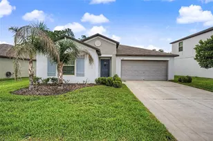 13411 Willow Bluestar Loop, Riverview, FL 33579 - Photo 2