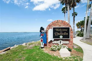 96 New York Ave, Dunedin, FL 34698 - Photo 50