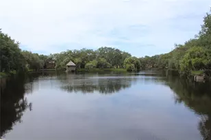 5717 Baywater Dr, Tampa, FL 33615 - Photo 36