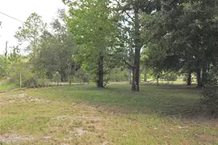 22154 Powell Rd, Brooksville, FL 34602 - Photo 24