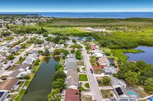 3802 Grayton Dr, New Port Richey, FL 34652 - Photo 68