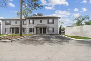 5238 Sunridge Palms Dr, Tampa, FL 33617 - Photo 6