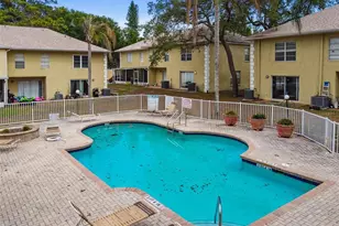 5238 Sunridge Palms Dr, Tampa, FL 33617 - Photo 86