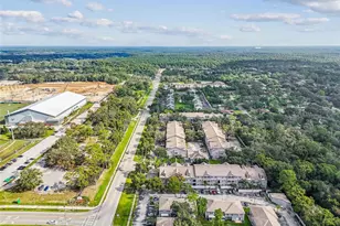 5238 Sunridge Palms Dr, Tampa, FL 33617 - Photo 70