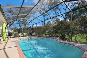 13855 Rudi Loop, Spring Hill, FL 34609 - Photo 40