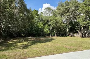 142 Rosedale Ave, Spring Hill, FL 34606 - Photo 54