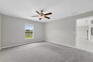 10281 Shady Preserve Dr, Riverview, FL 33578 - Photo 10