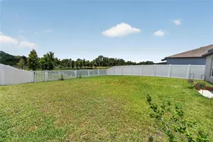 10281 Shady Preserve Dr, Riverview, FL 33578 - Photo 24