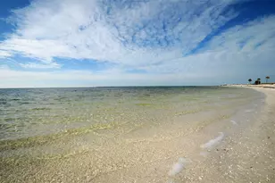 505 Whispering Oak Dr, Tarpon Springs, FL 34689 - Photo 64