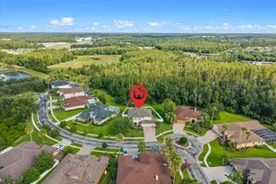27335 Roseling Ct, Wesley Chapel, FL 33544 - Photo 58
