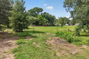 8608 Hamster Dr, Zephyrhills, FL 33540 - Photo 4