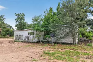 8608 Hamster Dr, Zephyrhills, FL 33540 - Photo 8