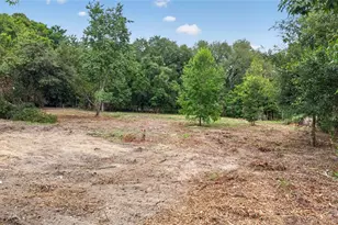 8608 Hamster Dr, Zephyrhills, FL 33540 - Photo 12