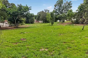 8608 Hamster Dr, Zephyrhills, FL 33540 - Photo 14