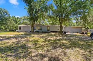 1136 Wildwood Ln, Lutz, FL 33558 - Photo 2