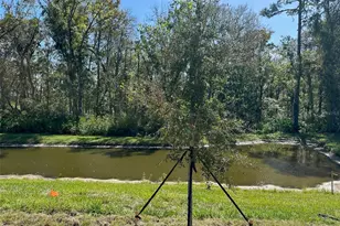 [Address not provided], Land O Lakes, FL 34638 - Photo 24