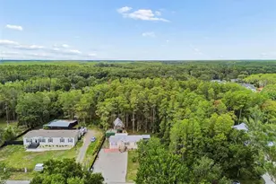 17808 Dogwood Dr, Lutz, FL 33558 - Photo 60