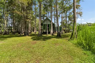 17808 Dogwood Dr, Lutz, FL 33558 - Photo 54