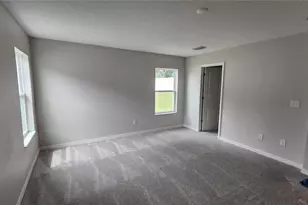 9938 Mesic Woods Ave, Seffner, FL 33584 - Photo 16