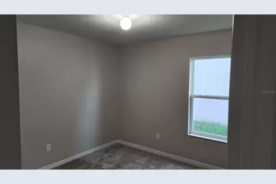 9938 Mesic Woods Avenue, Seffner, FL 33584 - Photo 22
