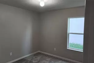 9938 Mesic Woods Ave, Seffner, FL 33584 - Photo 22