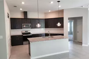 9938 Mesic Woods Ave, Seffner, FL 33584 - Photo 8