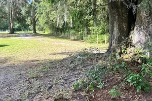5237 Turtle Dove Trail, Lakeland, FL 33810 - Photo 40