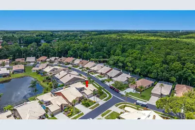 5450 Greyston Street, Palm Harbor, FL 34685 - Photo 72
