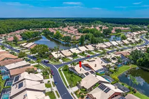 5450 Greyston St, Palm Harbor, FL 34685 - Photo 76