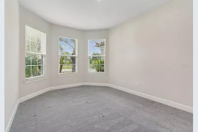 29306 Ginnetto Drive, Wesley Chapel, FL 33543 - Photo 30