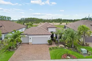 29306 Ginnetto Dr, Wesley Chapel, FL 33543 - Photo 88