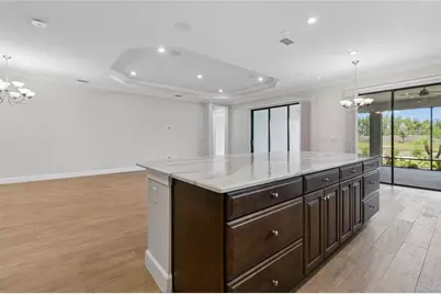 29306 Ginnetto Drive, Wesley Chapel, FL 33543 - Photo 8