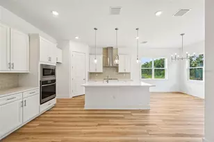 12231 White Blossom Ct, Parrish, FL 34219 - Photo 8