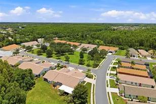 8237 Fallglo Ln, Land O Lakes, FL 34637 - Photo 52