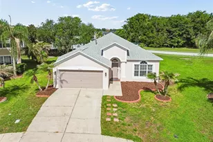27211 Liriope Ct, Wesley Chapel, FL 33544 - Photo 1
