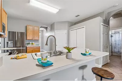 27211 Liriope Court, Wesley Chapel, FL 33544 - Photo 4