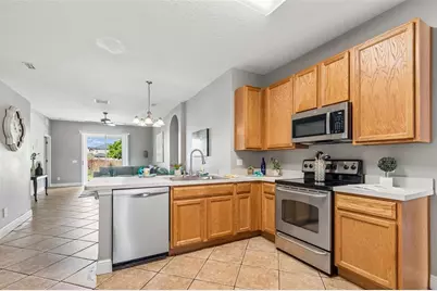 27211 Liriope Court, Wesley Chapel, FL 33544 - Photo 2
