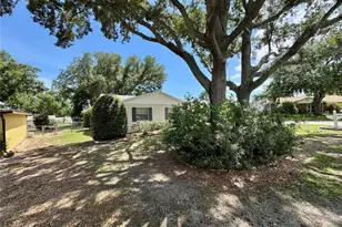 827 Strawberry Ln, Brandon, FL 33511 - Photo 44